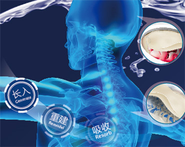 �����W(w��ng)վ���O(sh��)��˾Ȼ�t��(chu��ng)���O(sh��)Ӌ�C��(g��u)