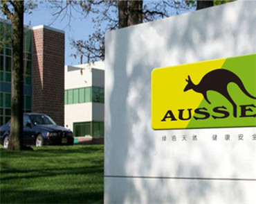 �����W(w��ng)վ���O(sh��)��˾�����ֵ��O(sh��)Ӌ���F