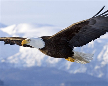 �����W(w��ng)վ���O(sh��)��˾�пư�ܛ��